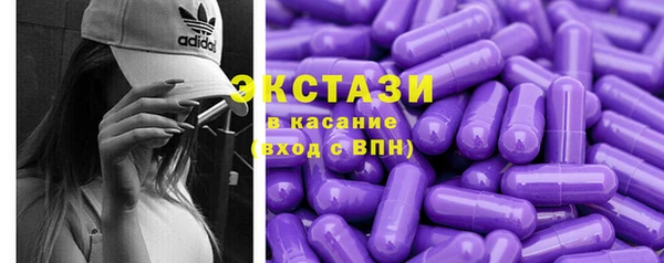 стаф Медногорск