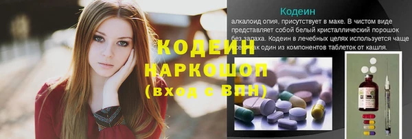 стаф Медногорск