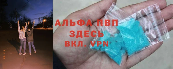 стаф Медногорск