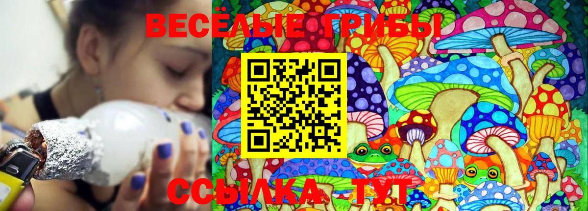 Псилоцибиновые грибы Cubensis Черемхово