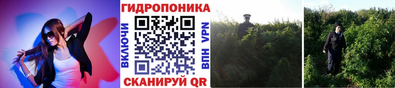 купить   Черемхово  MEGA рабочий сайт  МАРИХУАНА конопля 